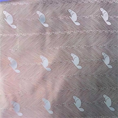 lino de la armadura llana de la tela 63dX75d del Dobby del poliéster 77gsm para las chaquetas