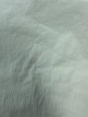 40D*40D Tejido de nylon 100%N 90GSM