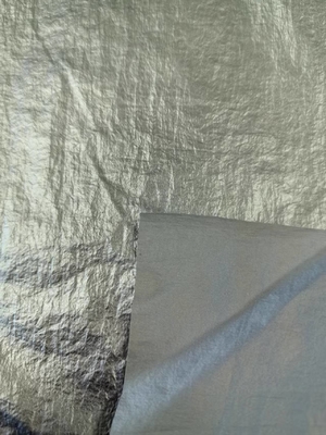 20D*20D Tejido de nylon 100%N 40GSM