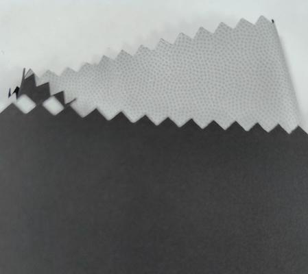 75D*75D 100%P 141±3GSM Tejido de alta elasticidad